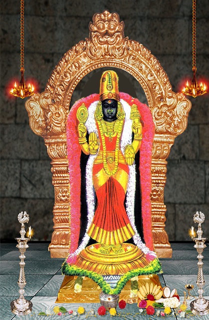 thaiyal-naayagi-amman-vaitheeswaran-kovil